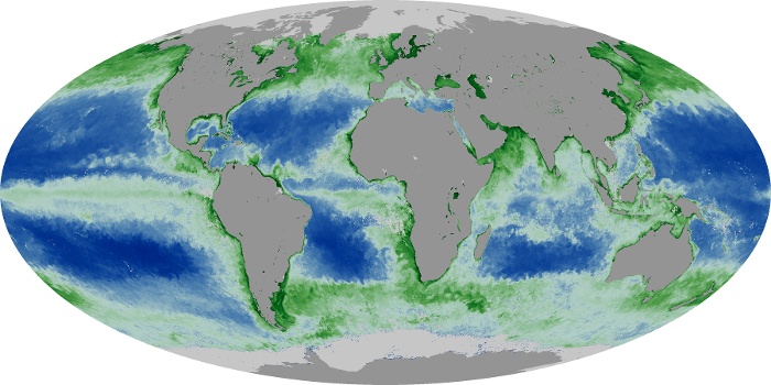 Global Map Chlorophyll Image 28