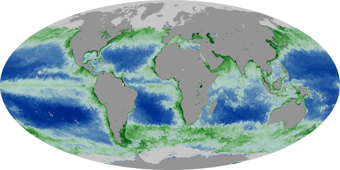 Global Map Chlorophyll Image 29