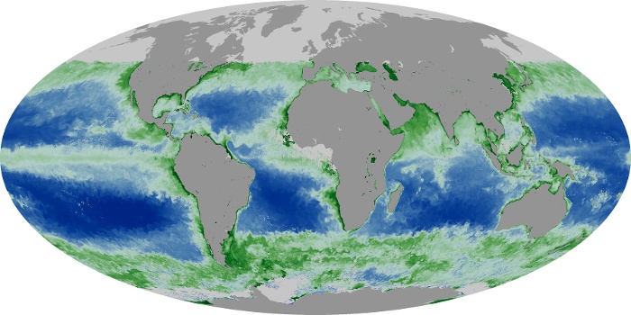 Global Map Chlorophyll Image 30