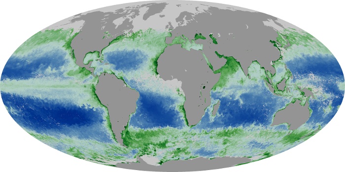 Global Map Chlorophyll Image 31