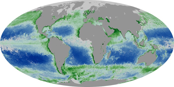 Global Map Chlorophyll Image 32