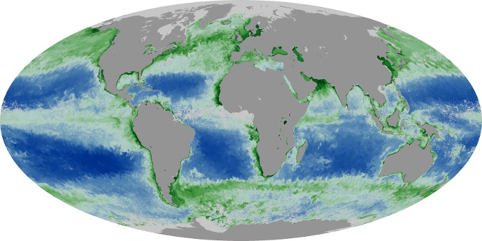 Global Map Chlorophyll Image 33