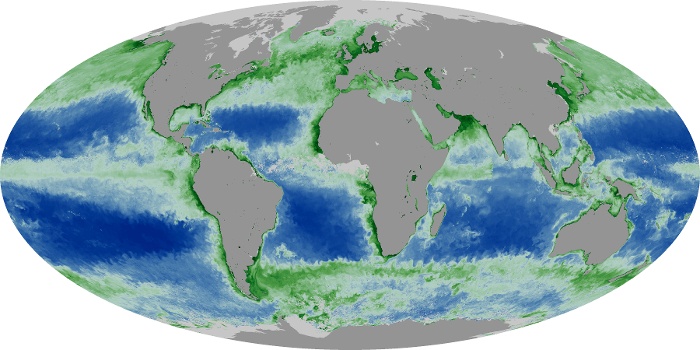 Global Map Chlorophyll Image 33