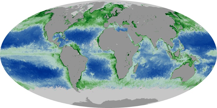 Global Map Chlorophyll Image 5