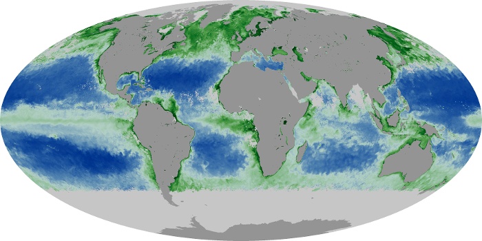 Global Map Chlorophyll Image 6