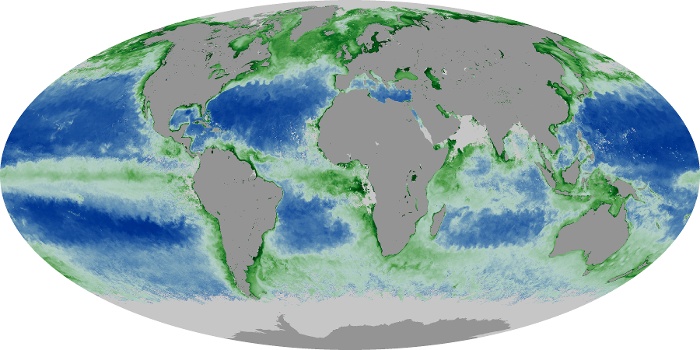 Global Map Chlorophyll Image 38