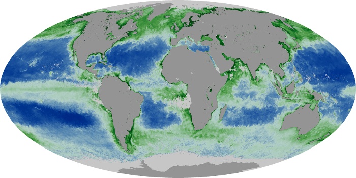 Global Map Chlorophyll Image 9