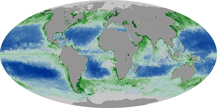 Global Map Chlorophyll Image 40