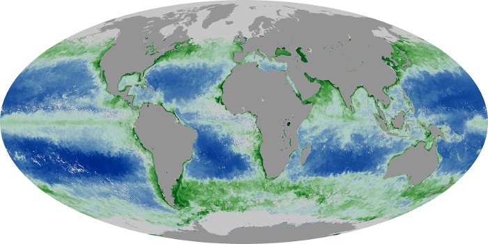 Global Map Chlorophyll Image 41