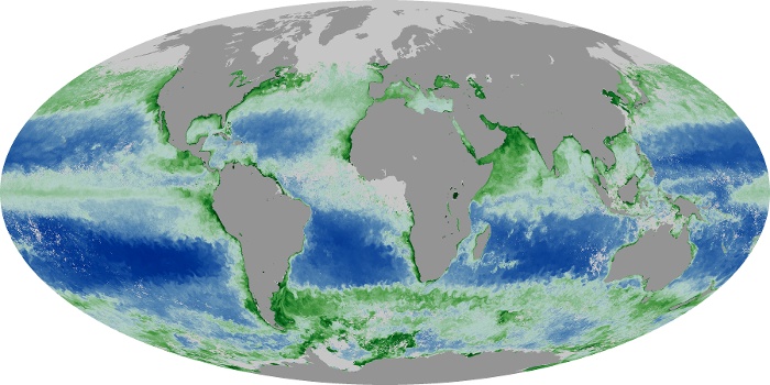 Global Map Chlorophyll Image 43