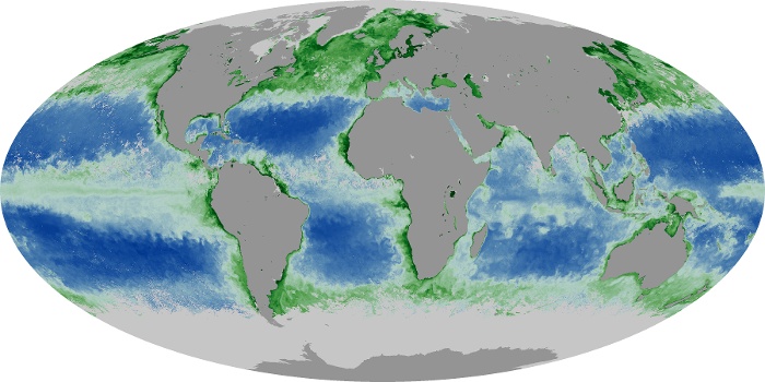 Global Map Chlorophyll Image 47