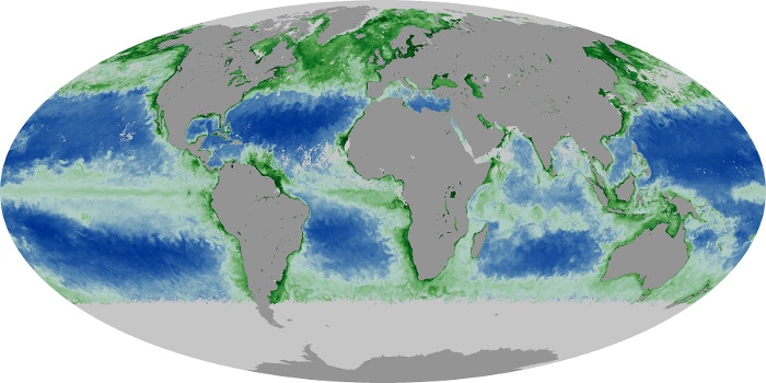 Global Map Chlorophyll Image 48