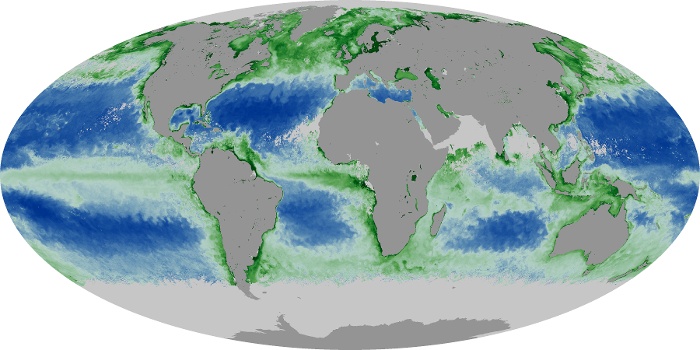 Global Map Chlorophyll Image 1