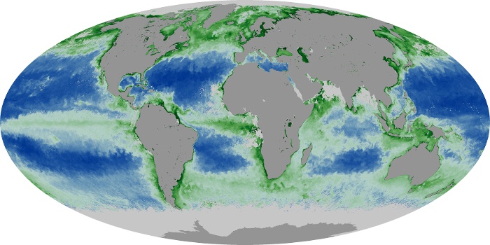 Global Map Chlorophyll Image 20