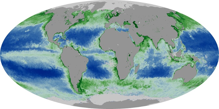 Global Map Chlorophyll Image 22