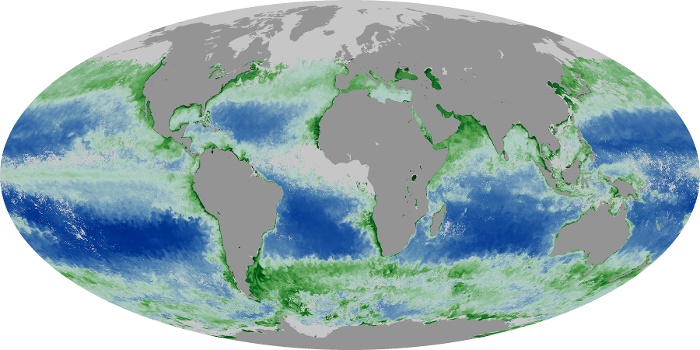 Global Map Chlorophyll Image 55