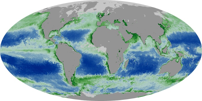 Global Map Chlorophyll Image 56