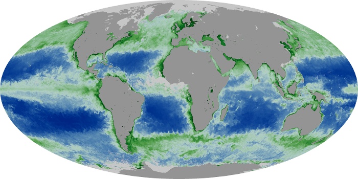 Global Map Chlorophyll Image 57