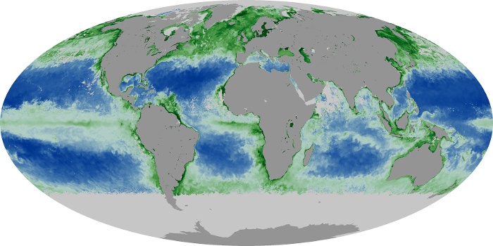 Global Map Chlorophyll Image 30