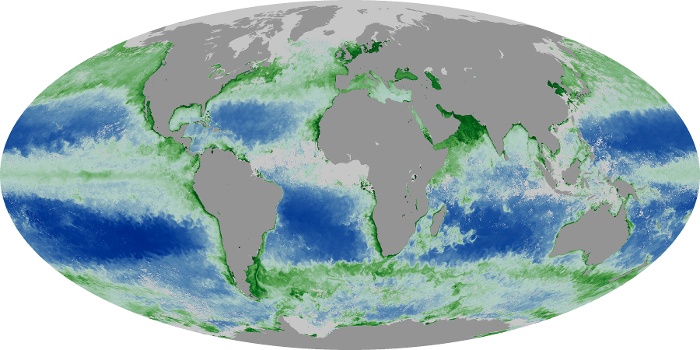 Global Map Chlorophyll Image 68