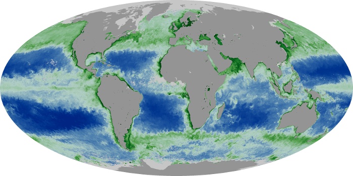 Global Map Chlorophyll Image 21