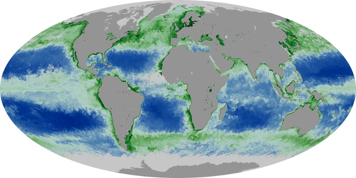 Global Map Chlorophyll Image 70