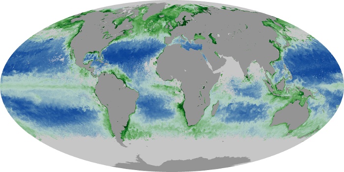 Global Map Chlorophyll Image 73