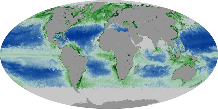 Global Map Chlorophyll Image 25