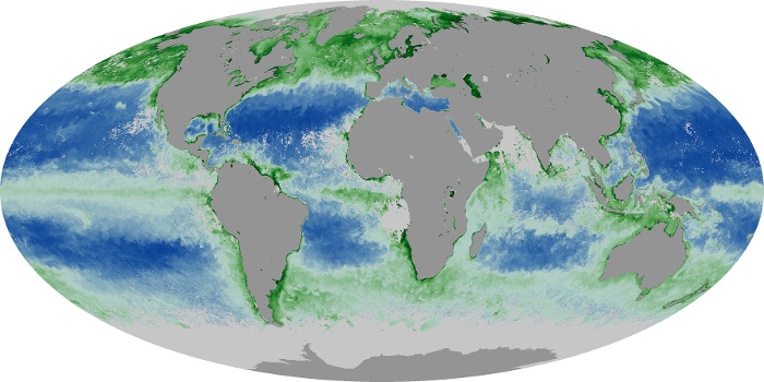 Global Map Chlorophyll Image 74