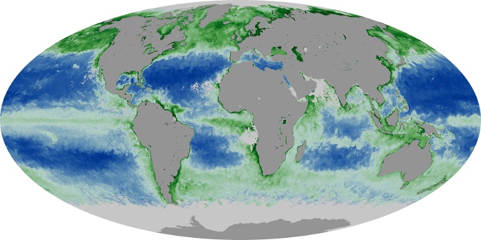 Global Map Chlorophyll Image 74