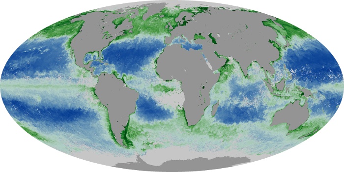 Global Map Chlorophyll Image 75