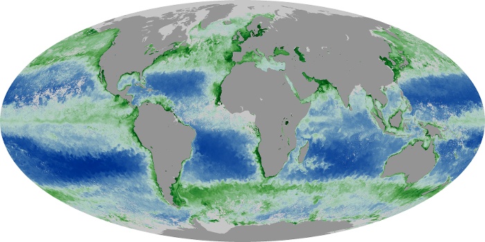 Global Map Chlorophyll Image 81