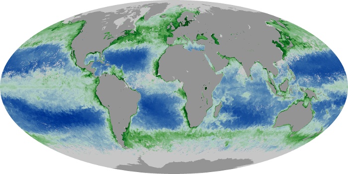 Global Map Chlorophyll Image 82