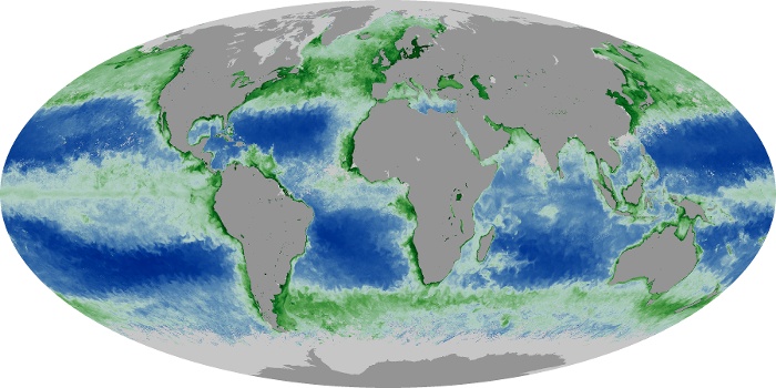 Global Map Chlorophyll Image 52