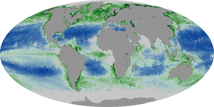 Global Map Chlorophyll Image 86