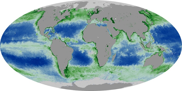 Global Map Chlorophyll Image 58