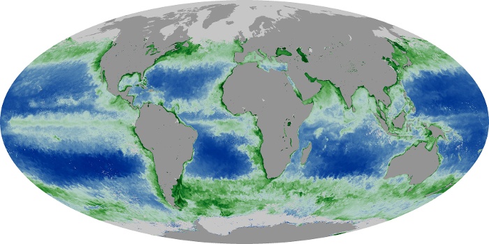 Global Map Chlorophyll Image 41