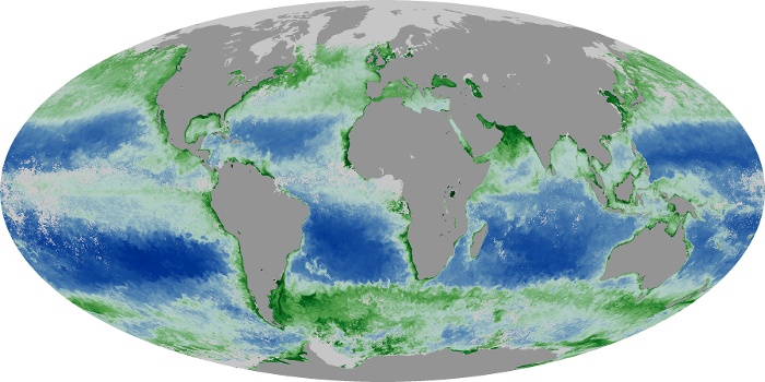 Global Map Chlorophyll Image 92