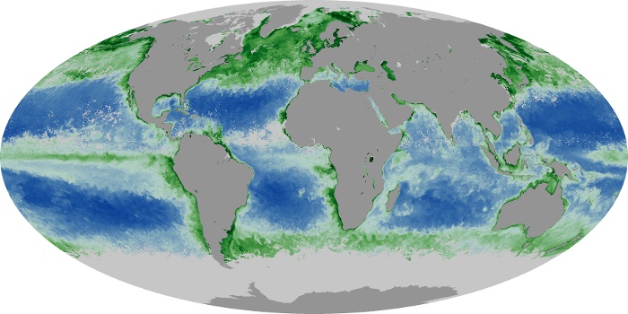 Global Map Chlorophyll Image 95