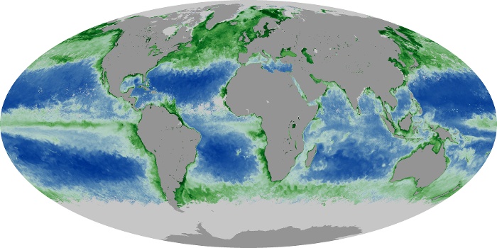 Global Map Chlorophyll Image 47