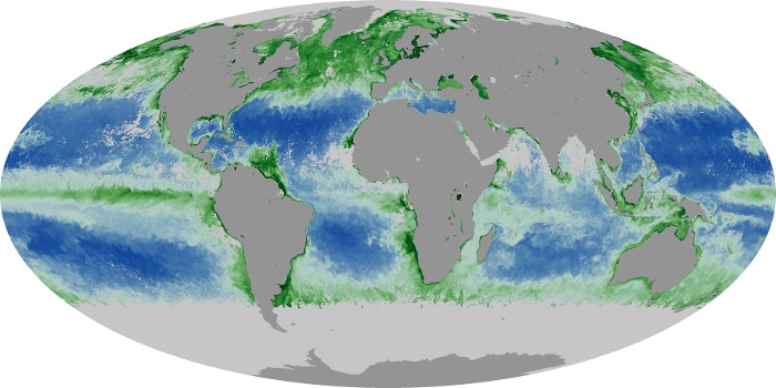 Global Map Chlorophyll Image 96