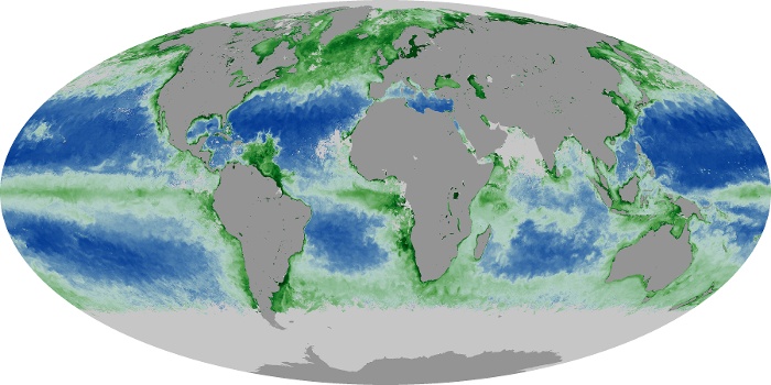 Global Map Chlorophyll Image 67