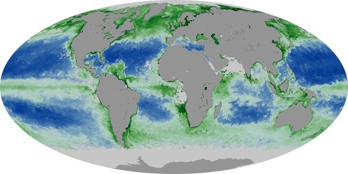 Global Map Chlorophyll Image 68