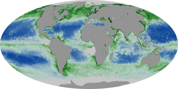 Global Map Chlorophyll Image 99