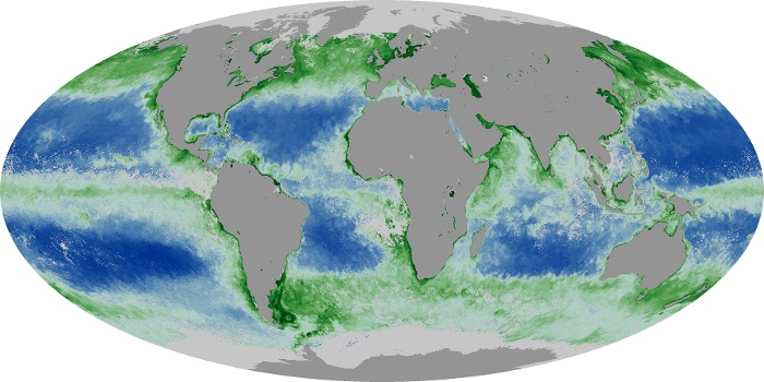 Global Map Chlorophyll Image 100