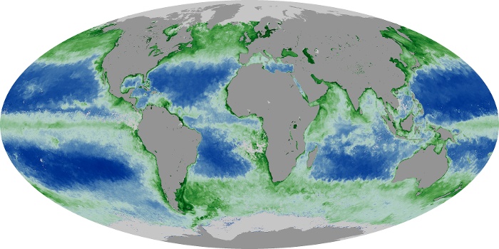 Global Map Chlorophyll Image 70