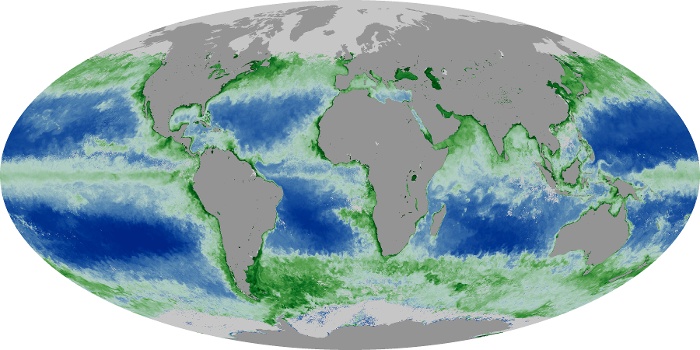 Global Map Chlorophyll Image 71