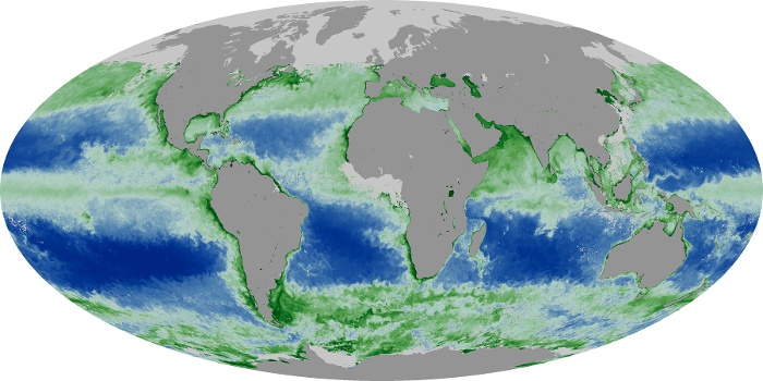 Global Map Chlorophyll Image 55