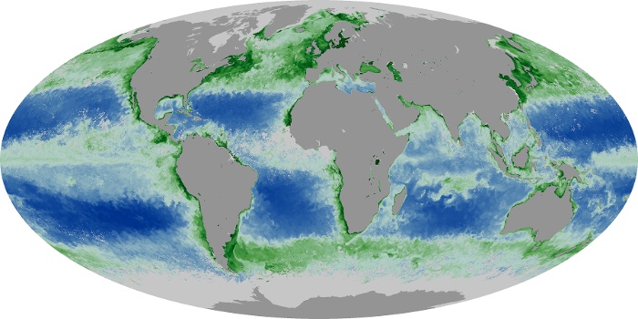 Global Map Chlorophyll Image 106