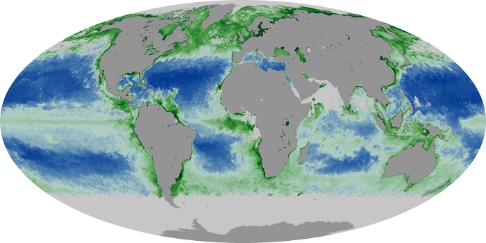 Global Map Chlorophyll Image 61